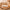 Packs